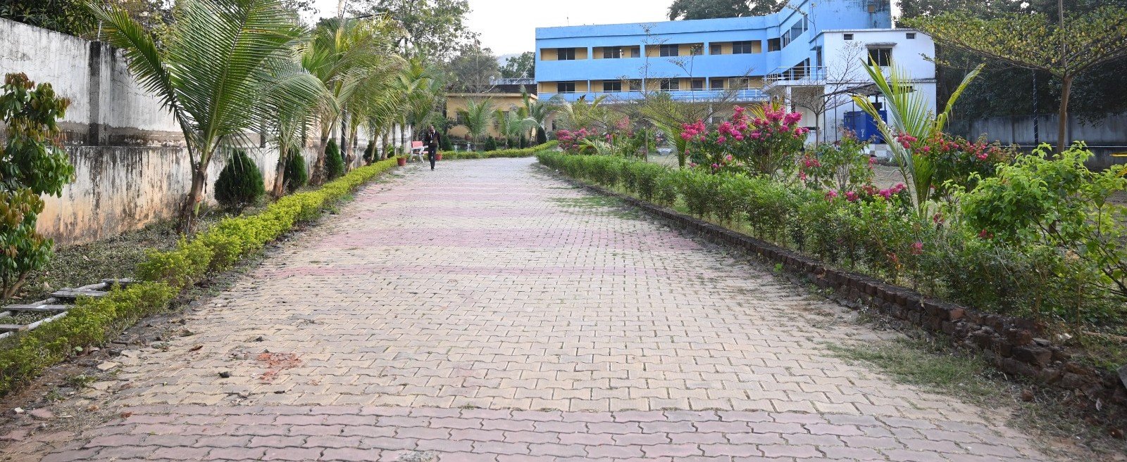 BBA (Business Administration)